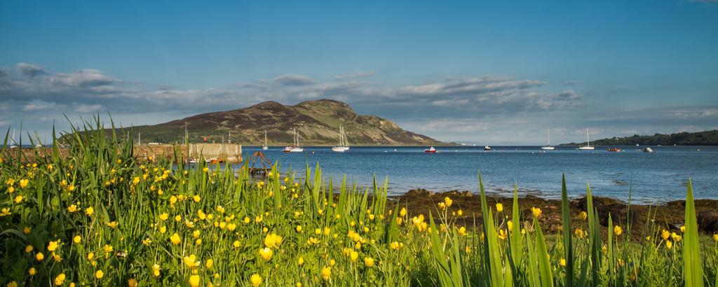 Lamlash Bay Hotel Dış mekan fotoğraf